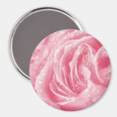 Funkelrosa Rose Magnet (Vorderseite/Rückseite)