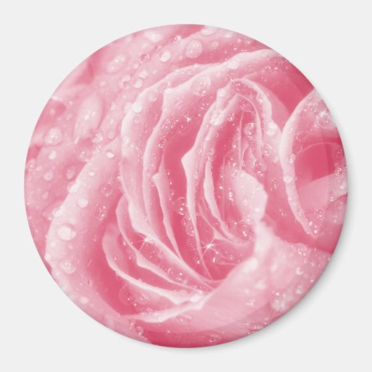 Funkelrosa Rose Magnet (Vorne)
