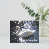 Funkelschwänze Postkarte (Stehend Vorderseite)