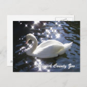 Funkelschwänze Postkarte (Vorne/Hinten)