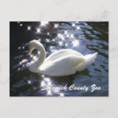 Funkelschwänze Postkarte (Vorderseite)