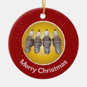 Funkenstecker des Motors Keramikornament (Vorne)