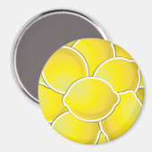 Funklemon Magnet (Vorderseite/Rückseite)