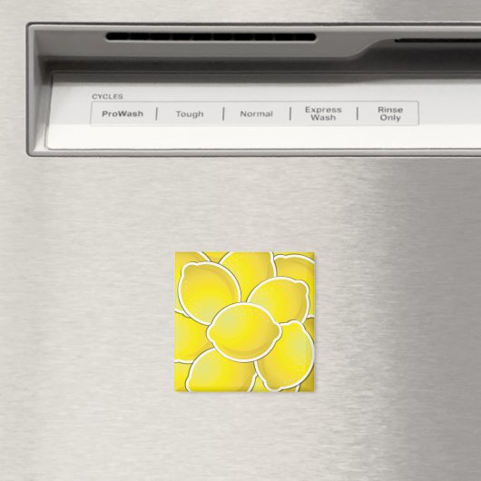 Funklemon Magnet (In Situ (Geschirrspüler))