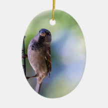 Funkmoment für mich