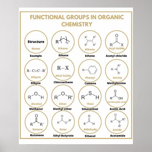 Funktionsgruppen der Chemie Poster (Vorne)