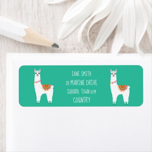 Funky Alpaca drama llama (Insitu)