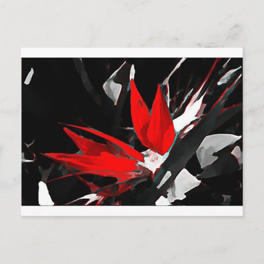 Funky Bird of Paradise Postkarte (Vorderseite)