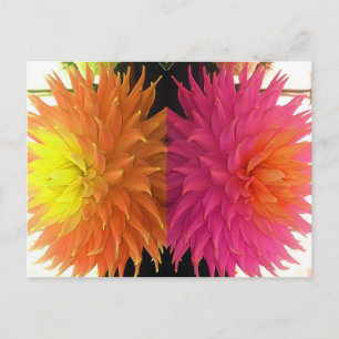 Funky Bright Orange & Pink Spikes Blume Postkarte