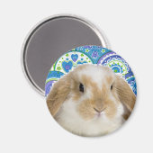 Funky Bunny Magnet (Vorderseite/Rückseite)