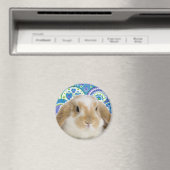 Funky Bunny Magnet (In Situ (Geschirrspüler))
