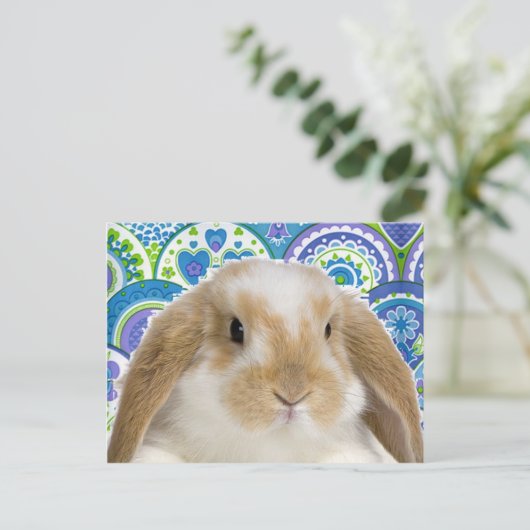 Funky Bunny Postkarte (Stehend Vorderseite)