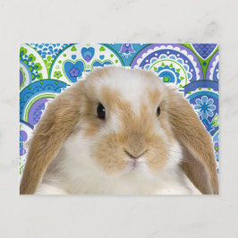 Funky Bunny Postkarte