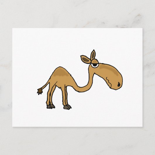 Funky Camel Cartoon Postkarte (Vorderseite)