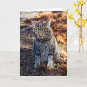 Funky Cat Faltenkarte Karte (Gelbe Blume)