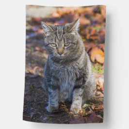 Funky Cat , No Pole, (1) Hausflagge