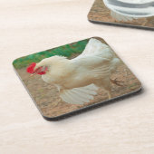 Funky Chicken Hen Hy Line Silver Brown Getränkeuntersetzer (Linke Seite)