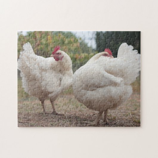 Funky Chicken Hen Hy Line Silver Brown Puzzle (Horizontal)