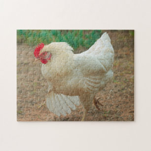 Funky Chicken Hen Hy Line Silver Brown Puzzle