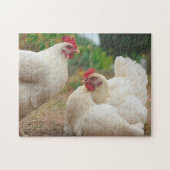 Funky Chicken Hen Hy Line Silver Brown Puzzle (Horizontal)