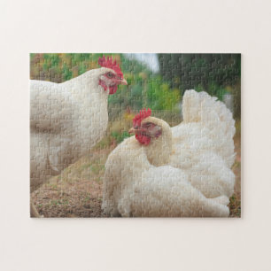 Funky Chicken Hen Hy Line Silver Brown Puzzle