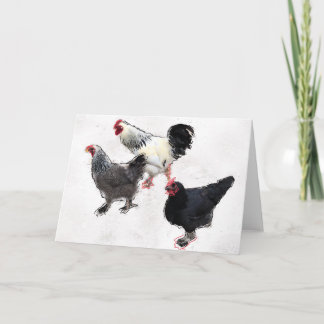 Funky Chickens Karte