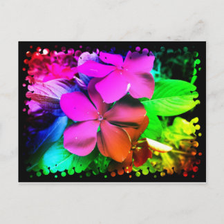 Funky Fun Blume Postkarte