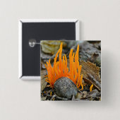 Funky Fungi Button (Vorne & Hinten)