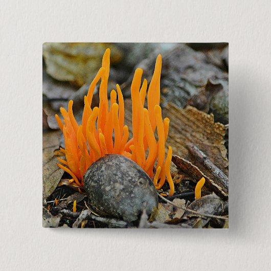 Funky Fungi Button (Vorderseite)