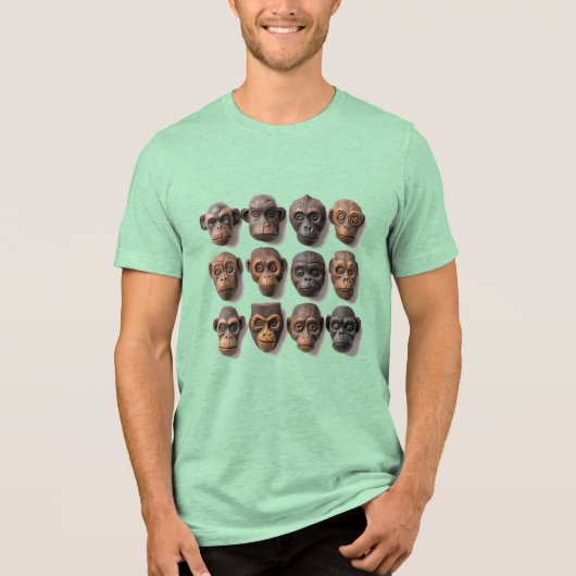 Funky Funky Ape Holoden Schluchten Tri-Blend Shirt (Vorderseite)