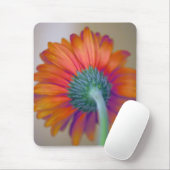 Funky Gerbera Mousepad (Mit Mouse)
