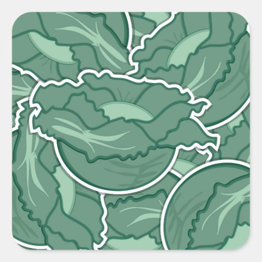 Funky green cabbage quadratischer aufkleber (Vorderseite)