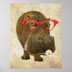 Funky Hippopotamus Poster! Poster