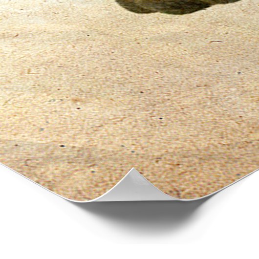 Funky Hippopotamus Poster! Poster (Ecke)