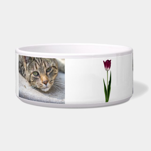 Funky Keramik Pet Bowl Napf (Links)