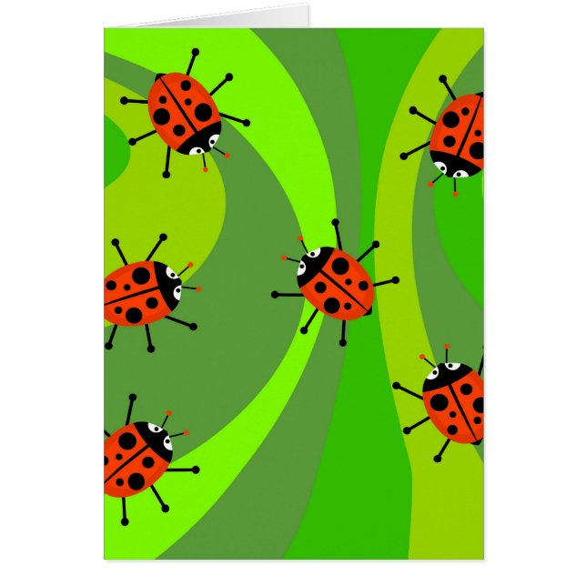 Funky Ladybugs (Vorne)