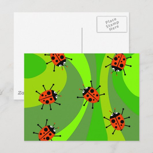 Funky Ladybugs Postkarte (Vorne/Hinten)