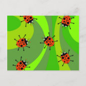 Funky Ladybugs Postkarte (Vorderseite)