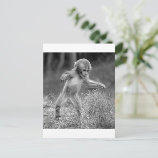 Funky Little Monkey Postkarte (Stehend Vorderseite)