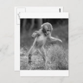 Funky Little Monkey Postkarte (Vorne/Hinten)
