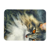 Funky Maine Coon Cat Art Magnet (Horizontal)