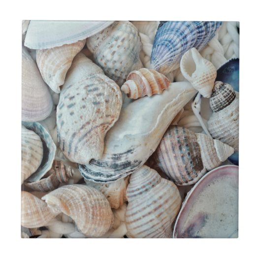 Funky Muscheln Holiday Seaside Fliese (Vorderseite)
