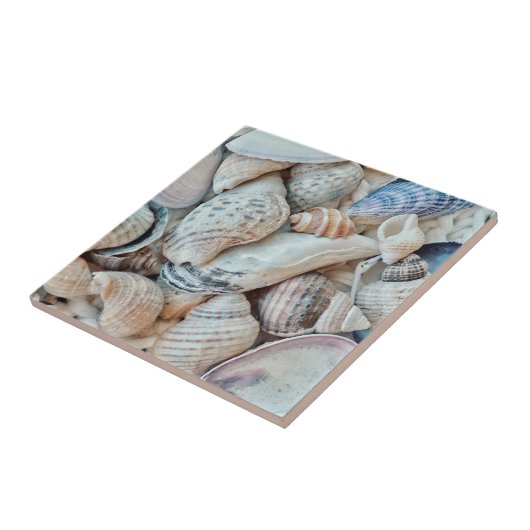 Funky Muscheln Holiday Seaside Fliese (Seite)