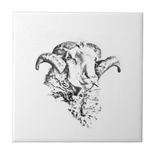 Funky Niedlich Merino Sheep Ram Head Sketch Fliese