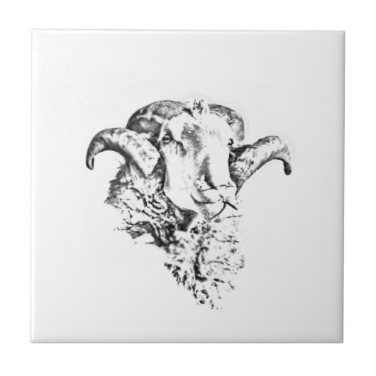 Funky Niedlich Merino Sheep Ram Head Sketch Fliese (Vorderseite)
