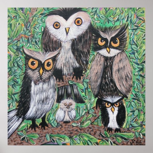 Funky Owls Akylic Art Poster (Vorne)