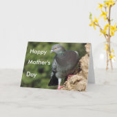 Funky-Pigeon-Muttertagskarten Karte (Gelbe Blume)