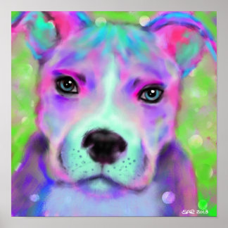 Funky Pitbull Poster