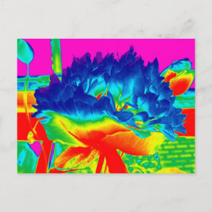Funky Rainbow Mehrfarbig Blume Popart Postkarte