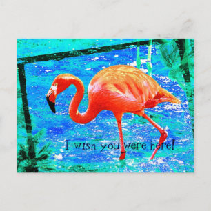 Funky rosa Flamingo Reise Postkarte